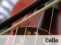 Cello Individual Instrument Lesson