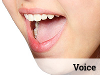 Voice & Instrument Lessons at Rata Studios, Wellington: Voice lessons