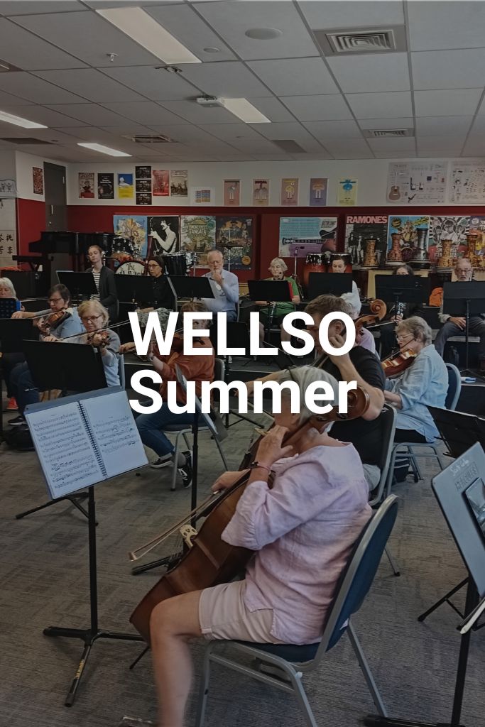 An adult orchestra playing together in a music room at Rata Studios in Wellington. Text on the image says WELLSO Summer. Click on the image to learn more about this programme.